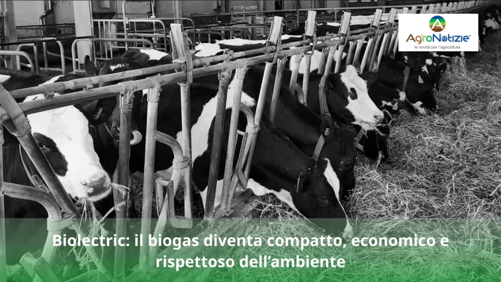 Biolectric- il biogas diventa compatto, economico e rispettoso dell’ambiente