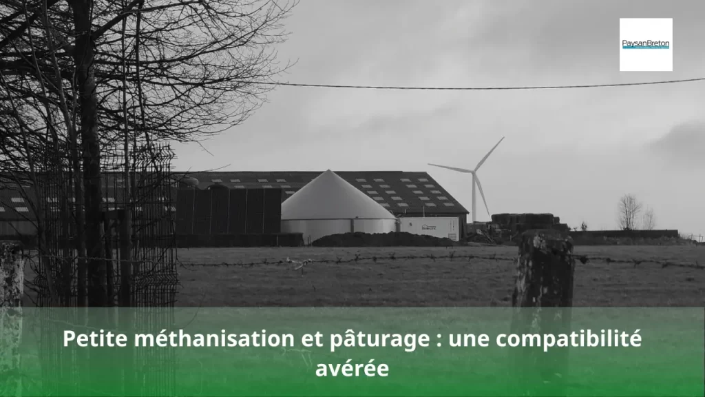 Petite méthanisation et pâturage - une compatibilité avérée