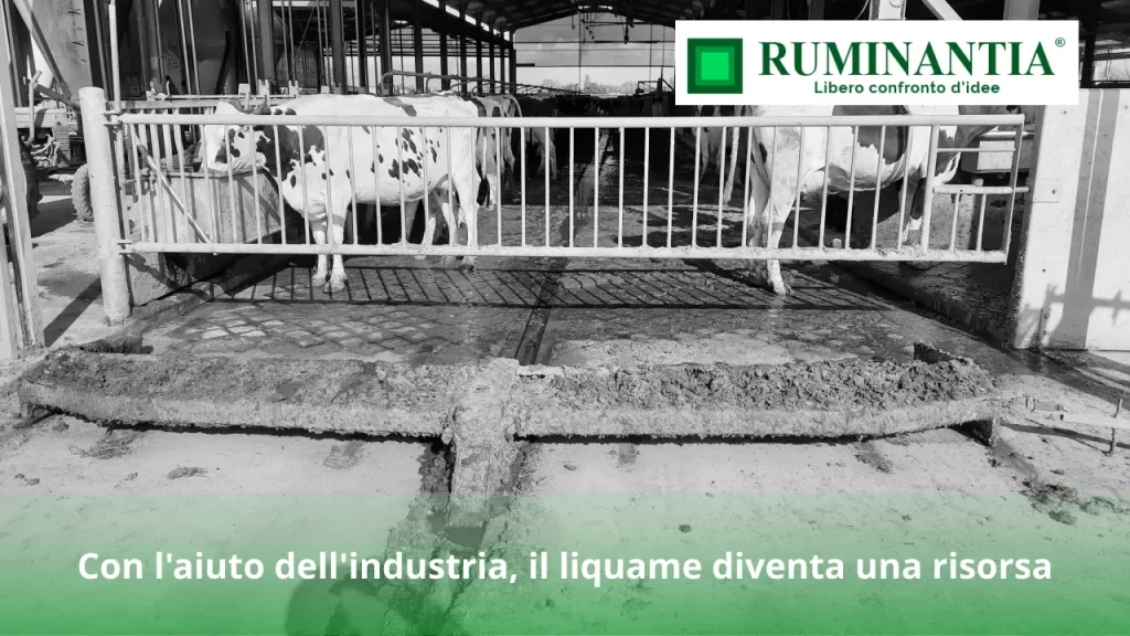 Con l'aiuto dell'industria, il liquame diventa una risorsa