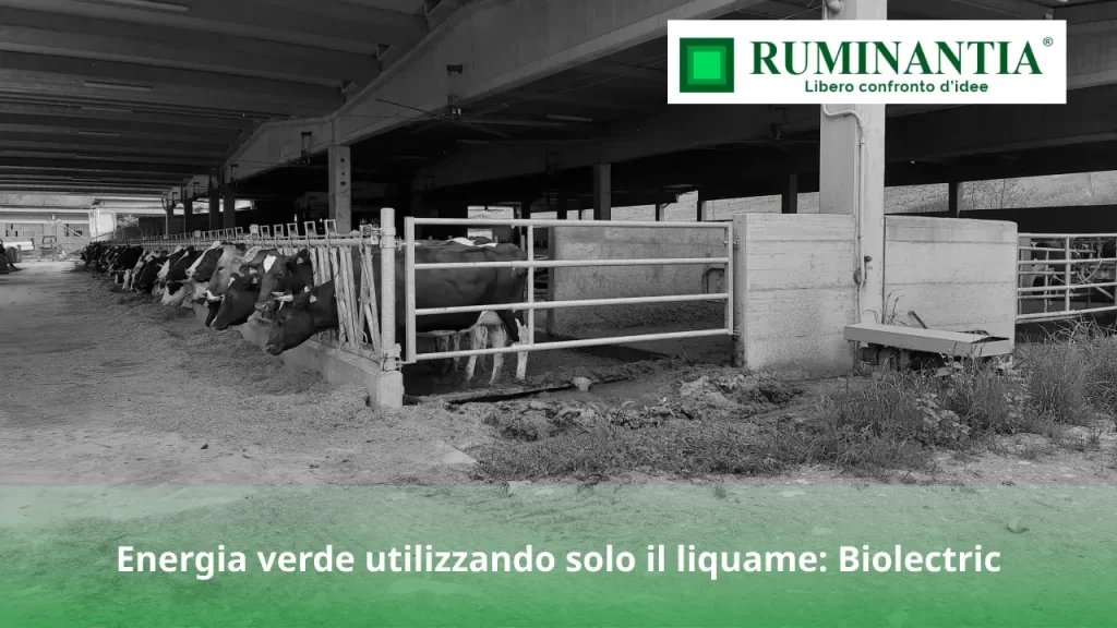Energia verde utilizzando solo il liquame- Biolectric
