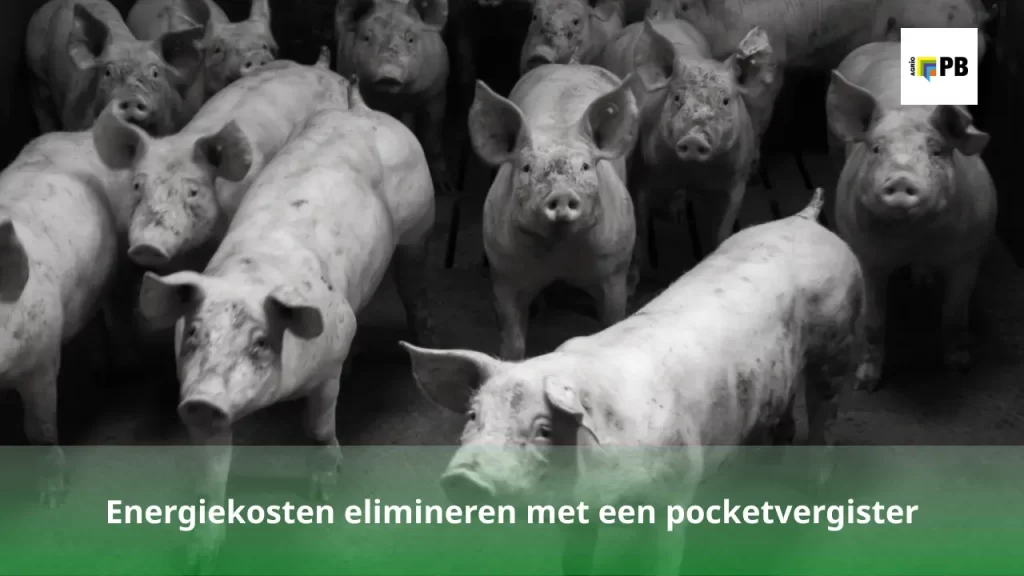 Energiekosten elimineren met een pocketvergister