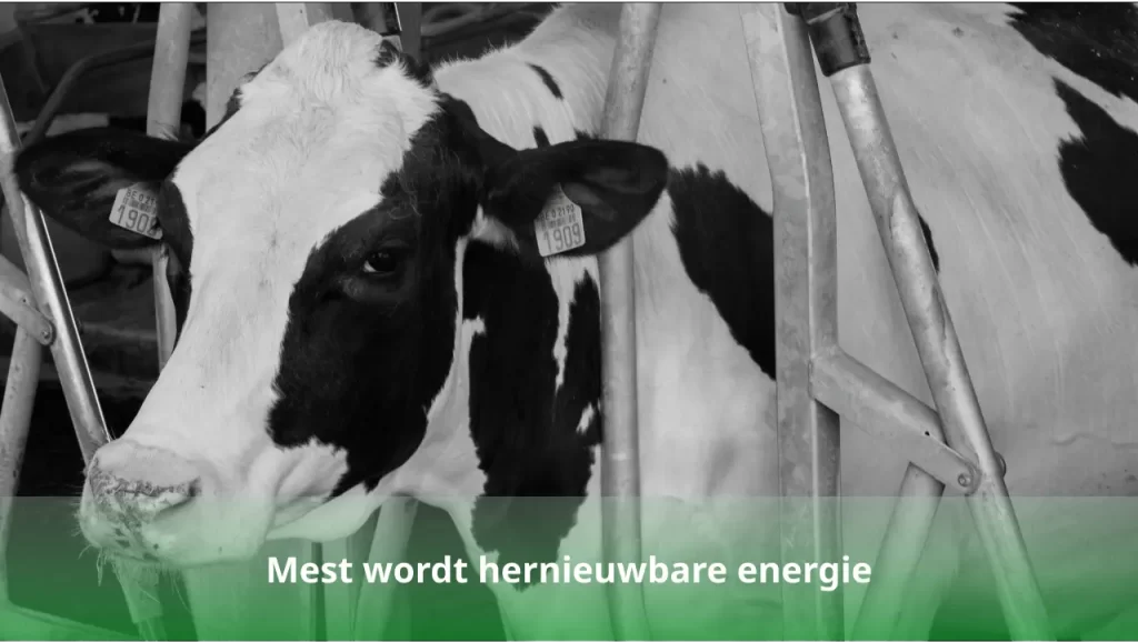 Mest wordt hernieuwbare energie