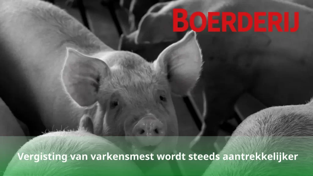 Vergisting van varkensmest wordt steeds aantrekkelijker